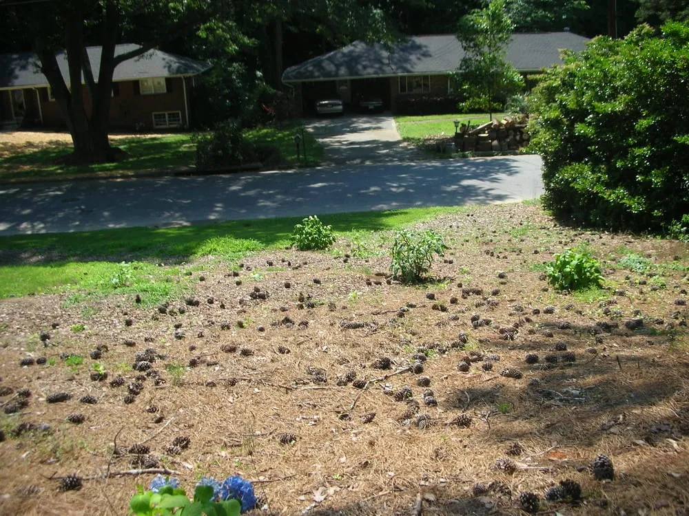 Professional residential landscaping in Blairsville, GA - Complete Home Services/VistaScapes