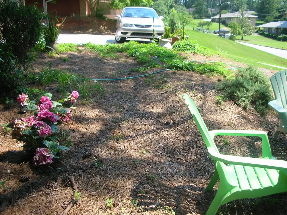 Reliable lawn care service in Blairsville, GA by Complete Home Services/VistaScapes