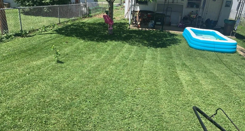 Top-rated yard maintenance in Indianapolis, IN - Complete Home Solutions