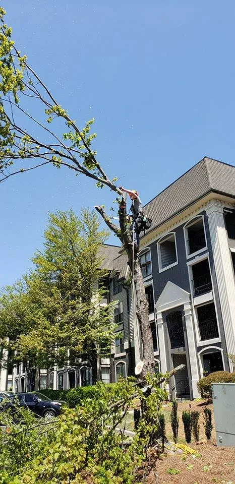 Reliable residential landscaping near you across Canton, GA - Complete Horticulture & Tree Service