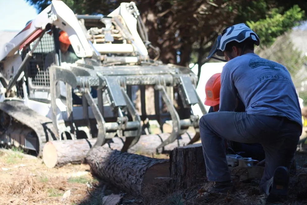 Local yard cleanup service in Canton, GA - Complete Horticulture & Tree Service