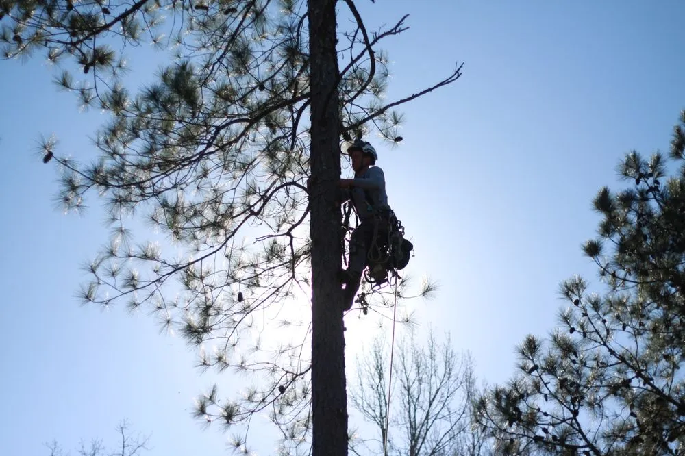 Trusted lawn mowing service experts serving Canton, GA - Complete Horticulture & Tree Service