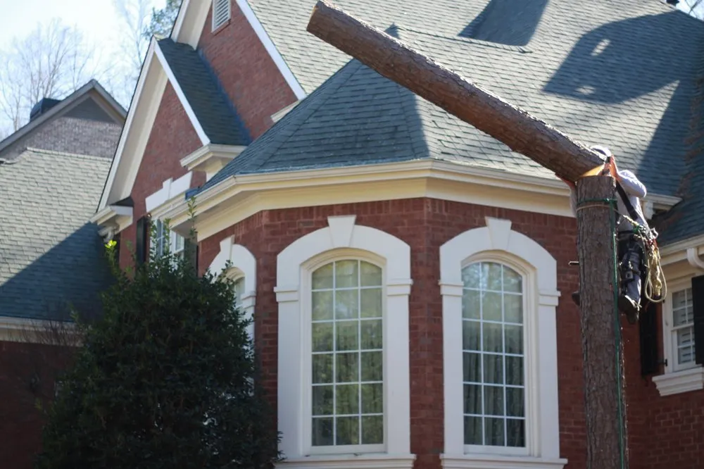 Custom yard maintenance experts serving Canton, GA - Complete Horticulture & Tree Service