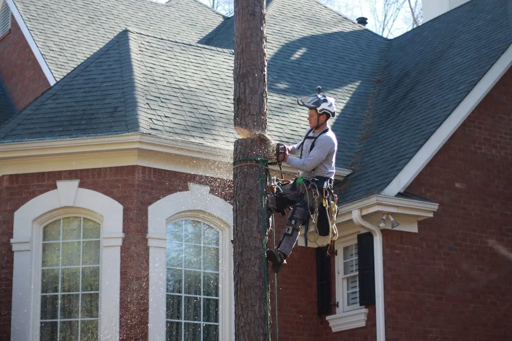 Professional lawn care service for homes in Canton, GA by Complete Horticulture & Tree Service