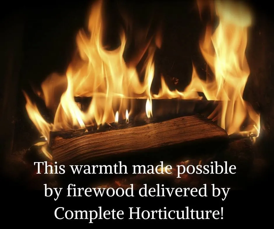 Reliable lawn care service in Canton, GA - Complete Horticulture & Tree Service