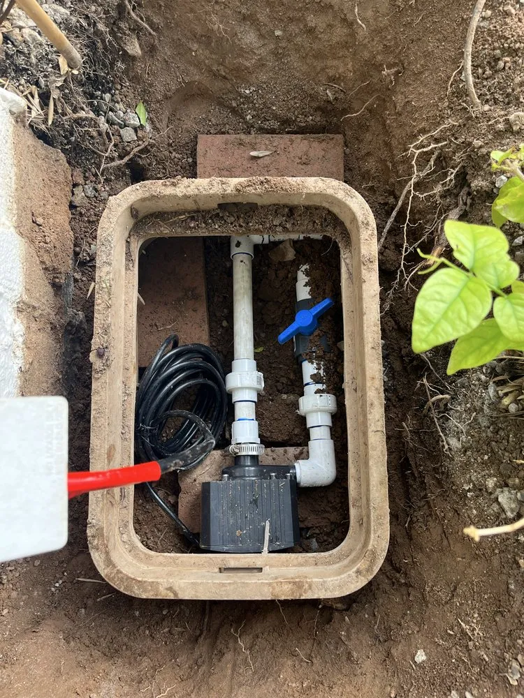 Affordable lawn care service for residential properties across Mesa, AZ - Complete Irrigation Services