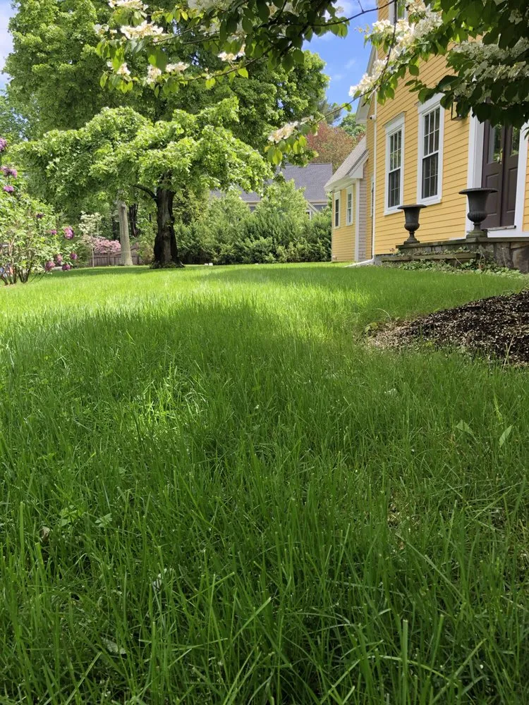 Reliable landscape installation in Wilmot, NH by Complete Land Organics