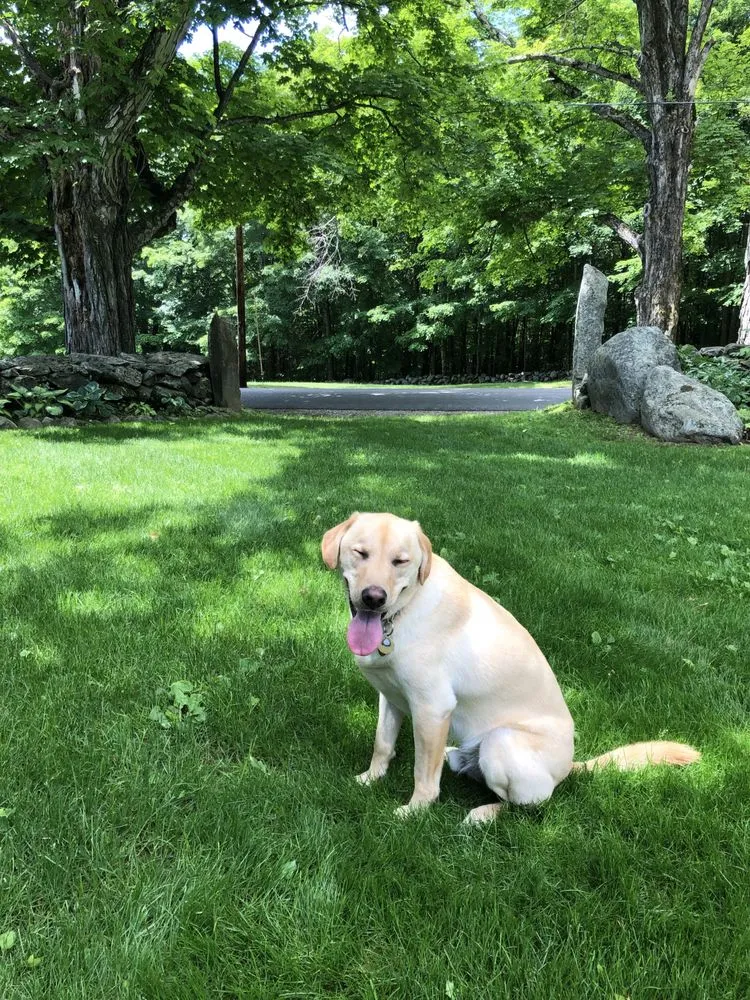 Expert yard maintenance for year-round maintenance across Wilmot, NH - Complete Land Organics