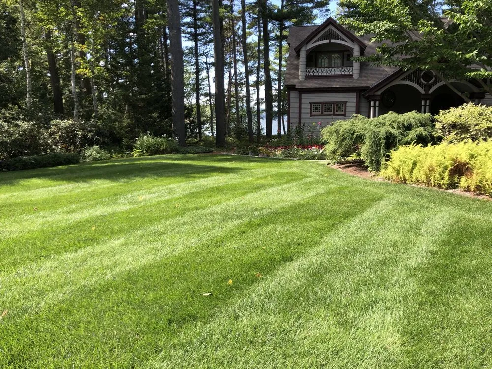 Local yard maintenance in Wilmot, NH by Complete Land Organics