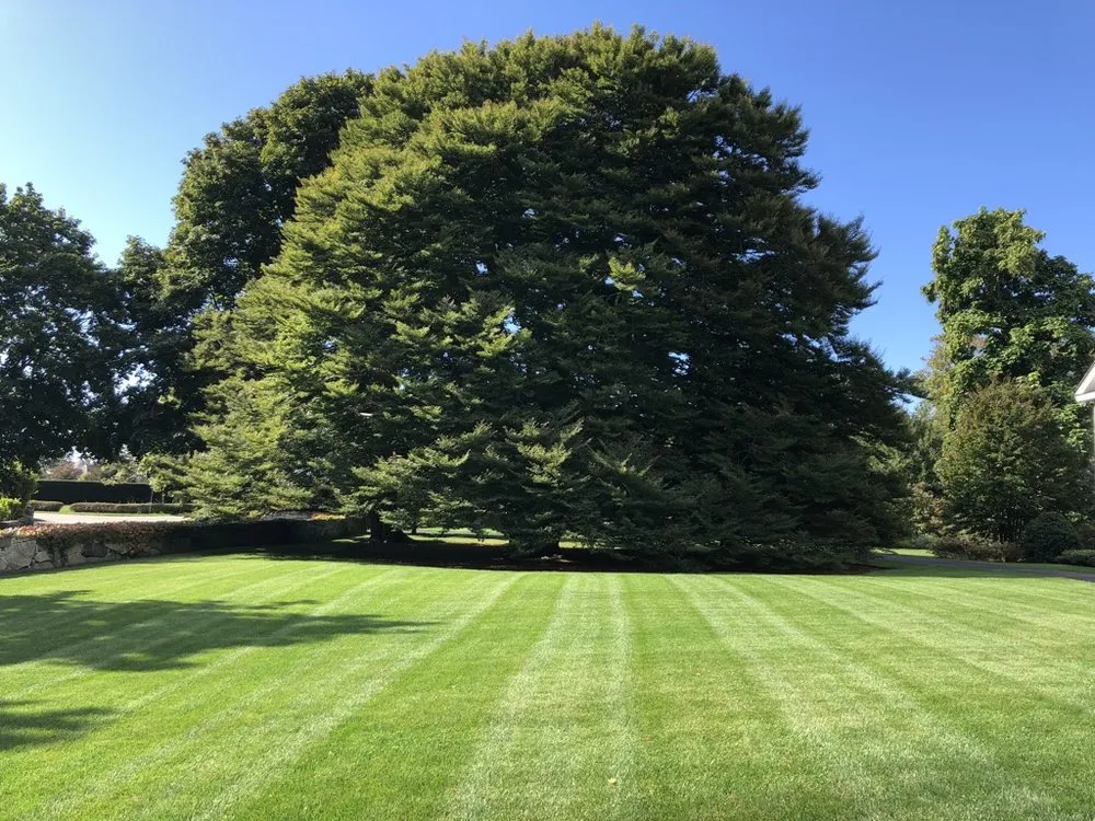 Trusted yard maintenance in Wilmot, NH - Complete Land Organics