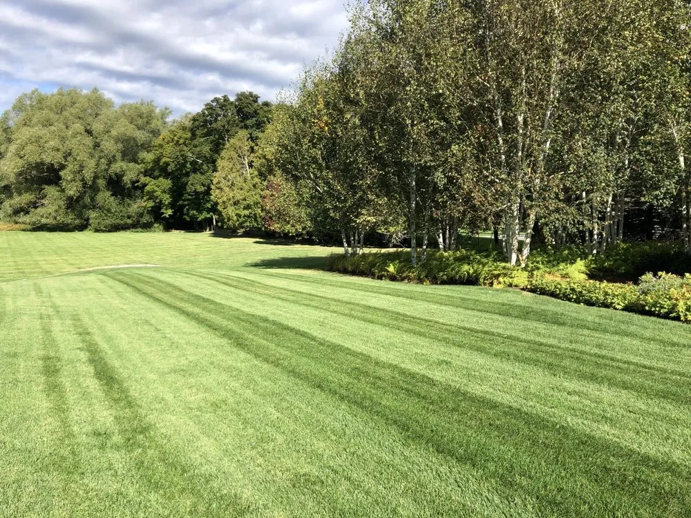 Top-rated lawn care service for beautiful yards in Wilmot, NH by Complete Land Organics