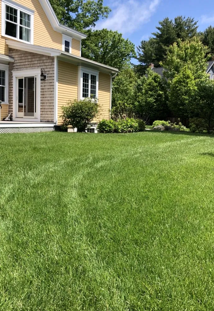 Affordable lawn mowing service experts serving Wilmot, NH - Complete Land Organics