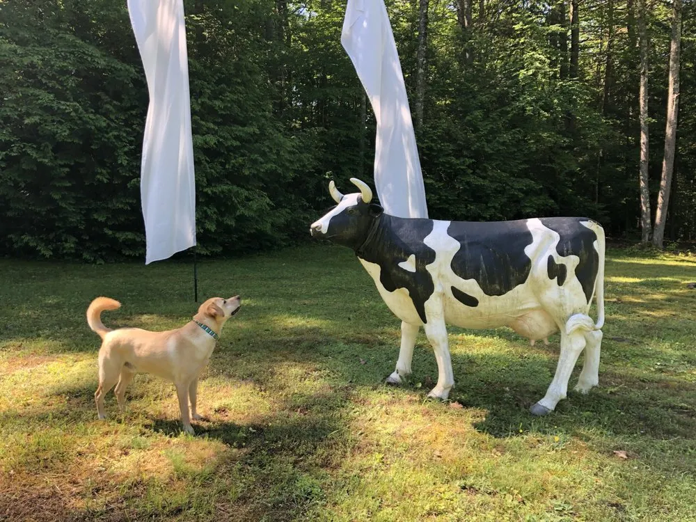 Top-rated outdoor landscaping experts serving Wilmot, NH - Complete Land Organics