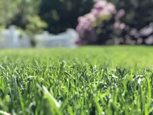 Complete Land Organics