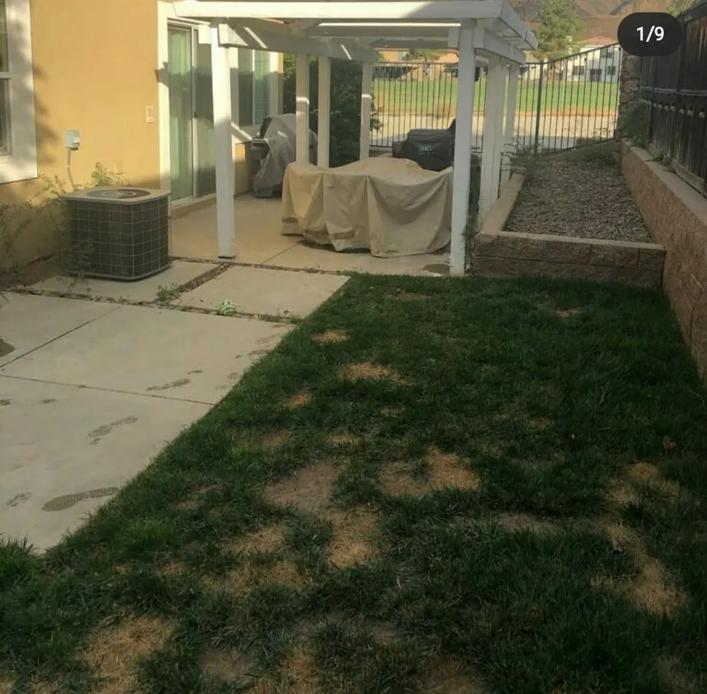 Professional lawn mowing service in Calimesa, CA by Complete Landscape