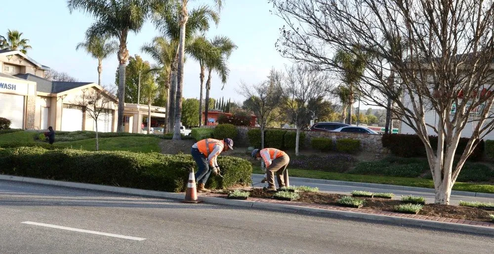 Reliable landscape design in Whittier, CA - Complete Landscape Care