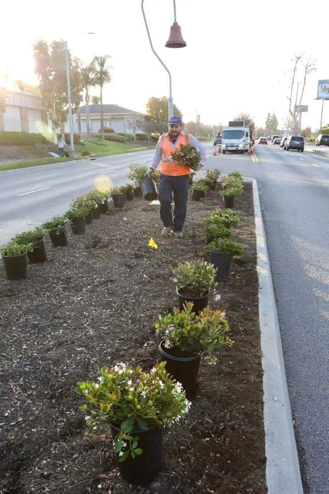 Expert garden landscaping experts serving Whittier, CA - Complete Landscape Care