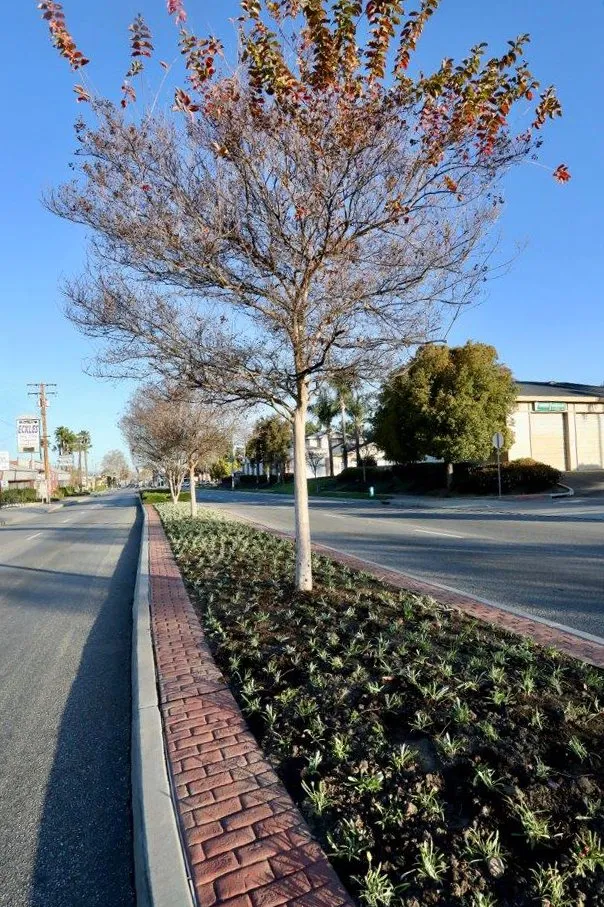 Local landscape design in Whittier, CA by Complete Landscape Care