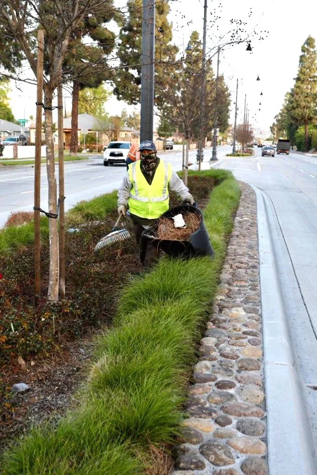 Trusted lawn mowing service for outdoor upgrades across Whittier, CA - Complete Landscape Care