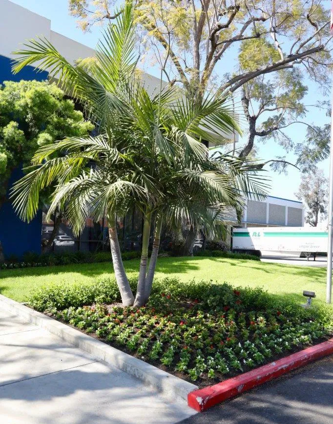 Professional garden landscaping in Whittier, CA - Complete Landscape Care