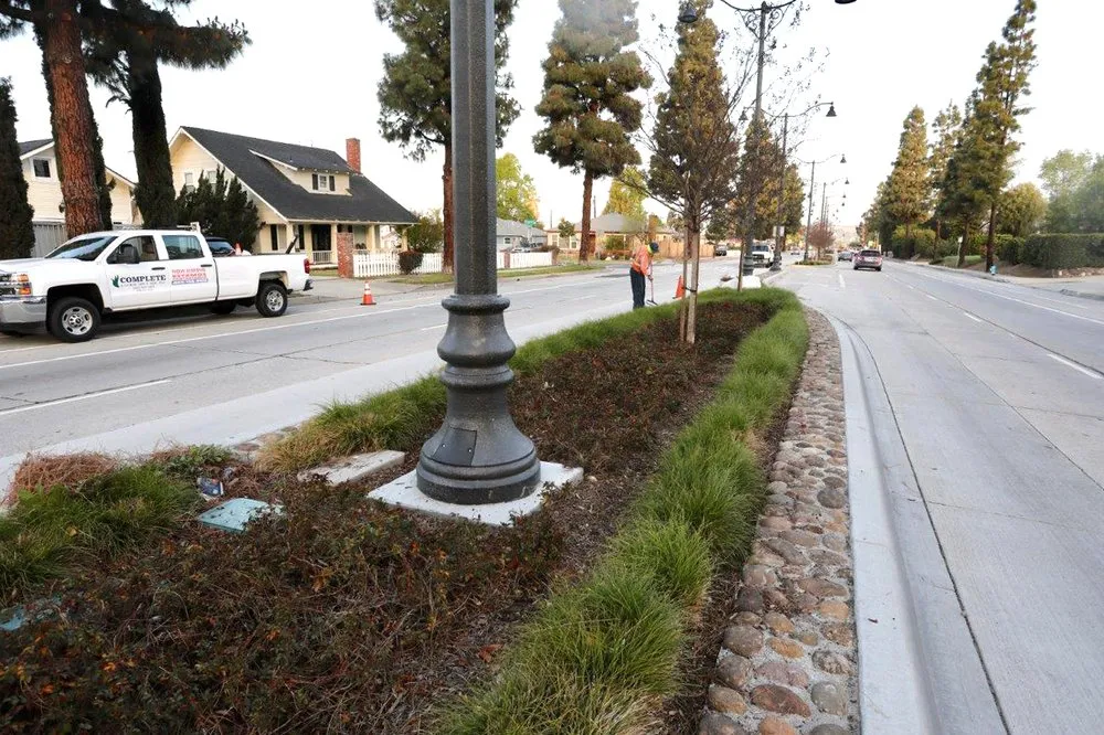 Local yard cleanup service with custom design across Whittier, CA - Complete Landscape Care