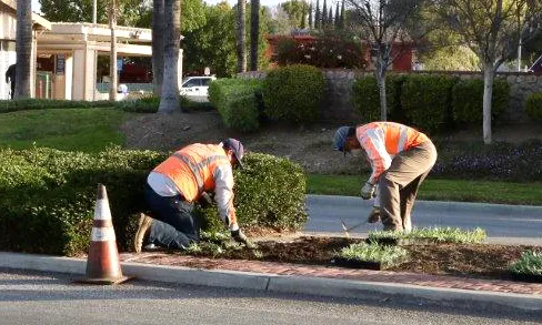 Professional yard maintenance for homes across Whittier, CA - Complete Landscape Care