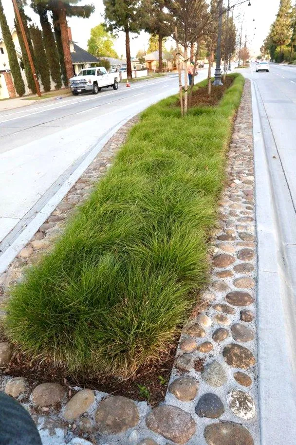 Trusted yard maintenance experts serving Whittier, CA - Complete Landscape Care
