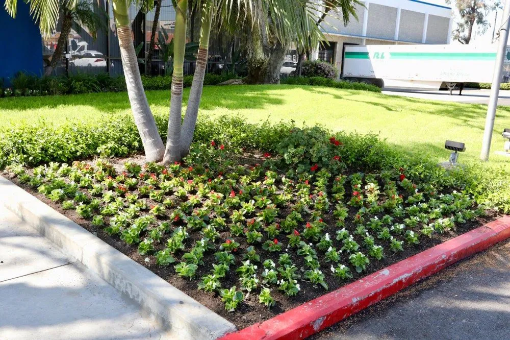 Top-rated landscape installation in Whittier, CA - Complete Landscape Care