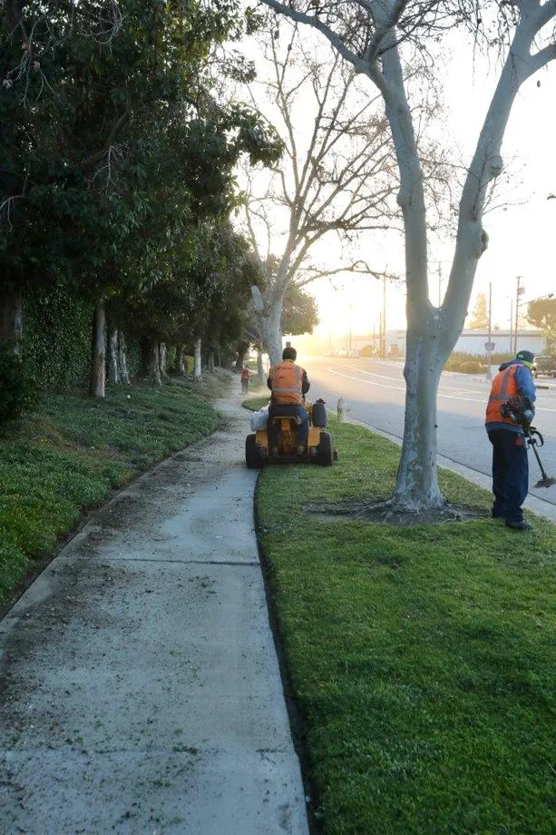 Top-rated residential landscaping for homes across Whittier, CA - Complete Landscape Care