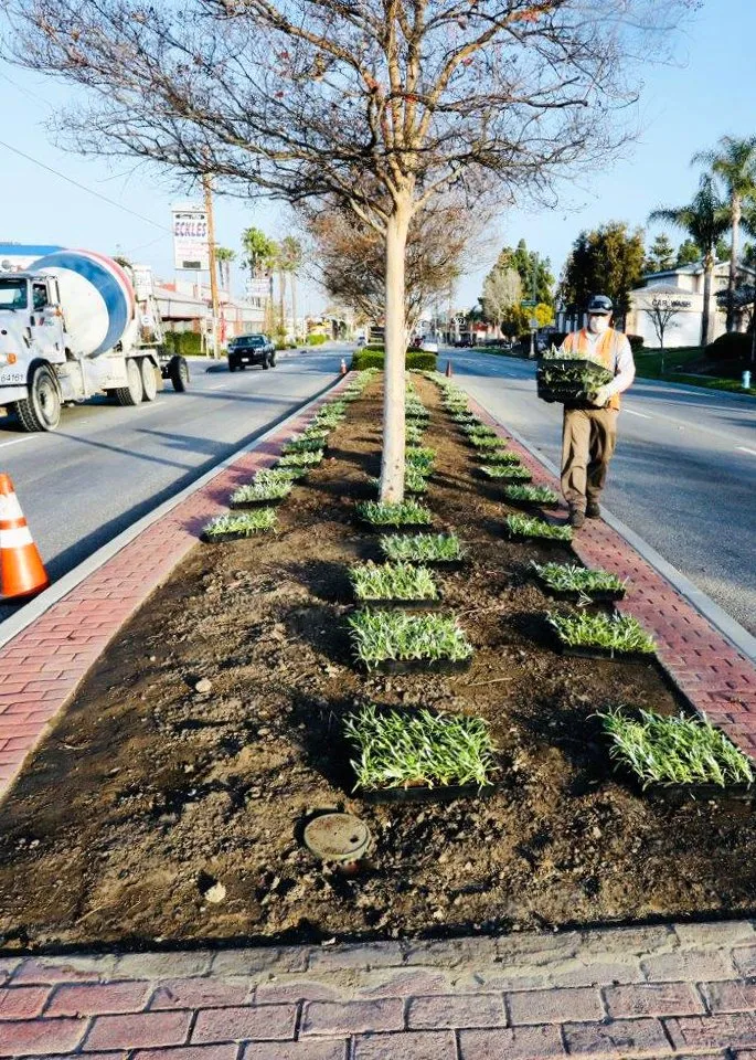 Reliable landscaping services for homes across Whittier, CA - Complete Landscape Care