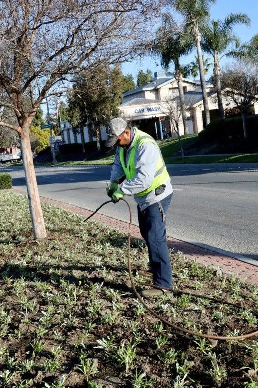 Top-rated lawn care service experts serving Whittier, CA - Complete Landscape Care