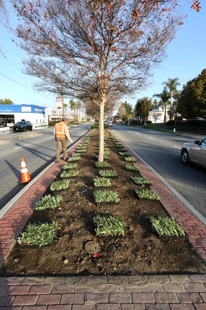 Trusted lawn care service for outdoor upgrades in Whittier, CA by Complete Landscape Care