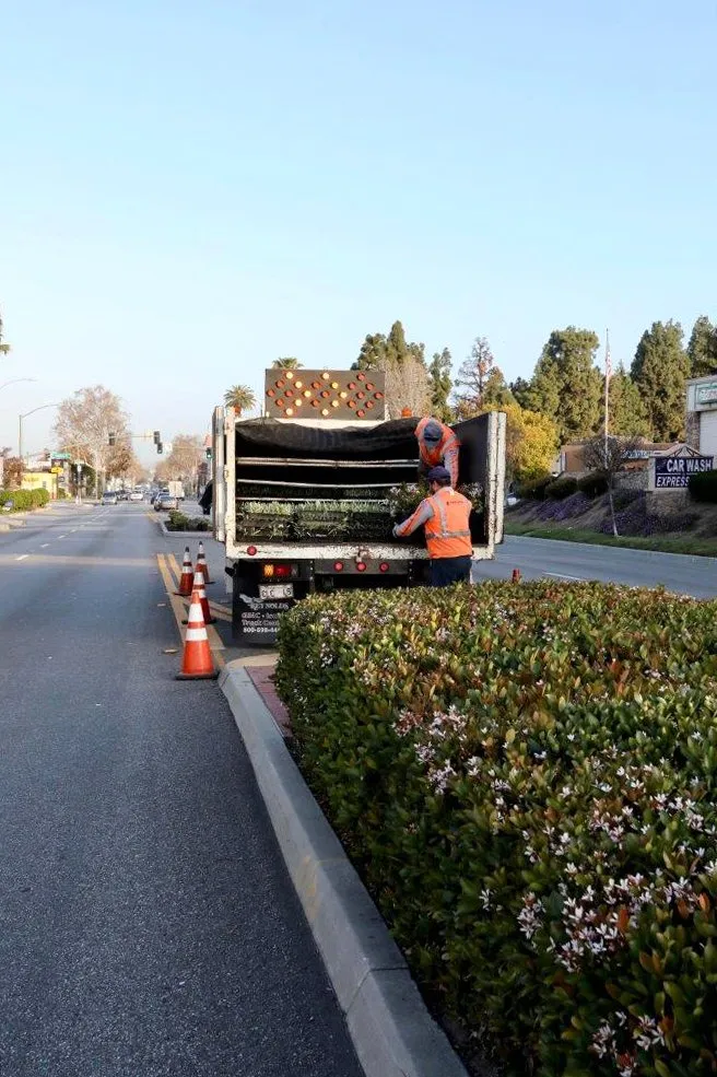Reliable landscaping services in Whittier, CA by Complete Landscape Care