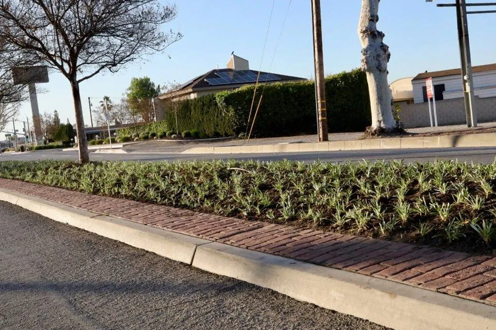 Trusted yard maintenance in Whittier, CA - Complete Landscape Care