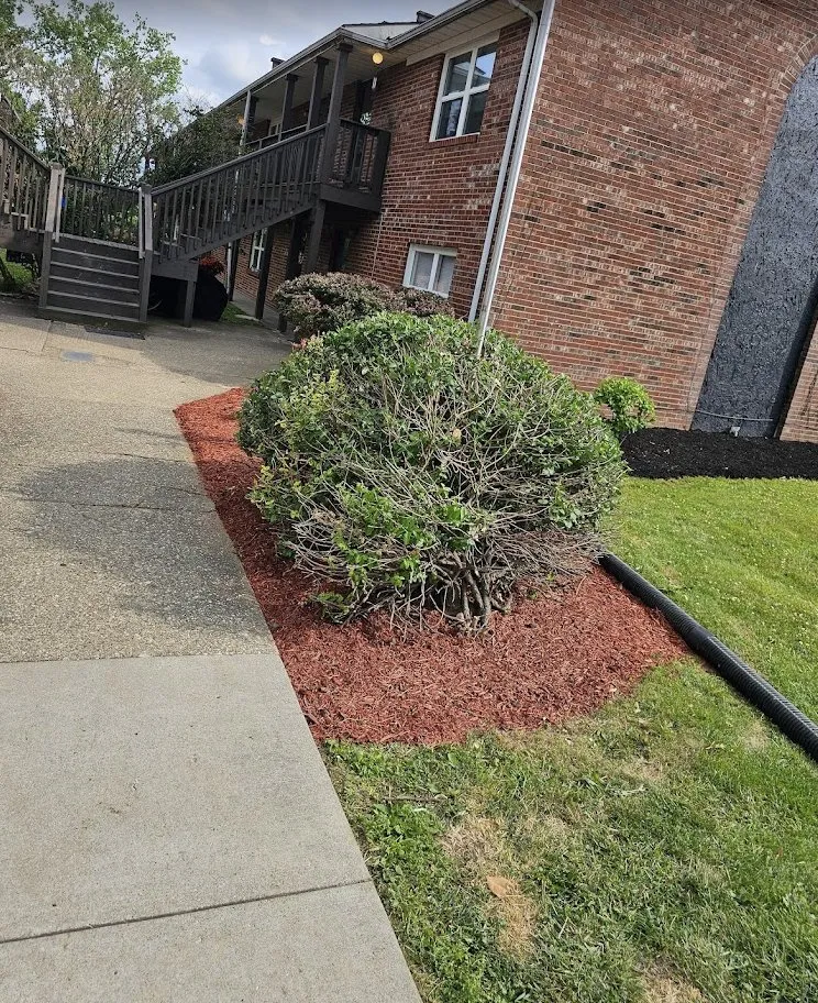 Expert residential landscaping experts serving Louisville, KY - Complete Landscape Lawncare