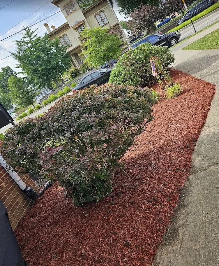 Reliable yard cleanup service experts serving Louisville, KY - Complete Landscape Lawncare