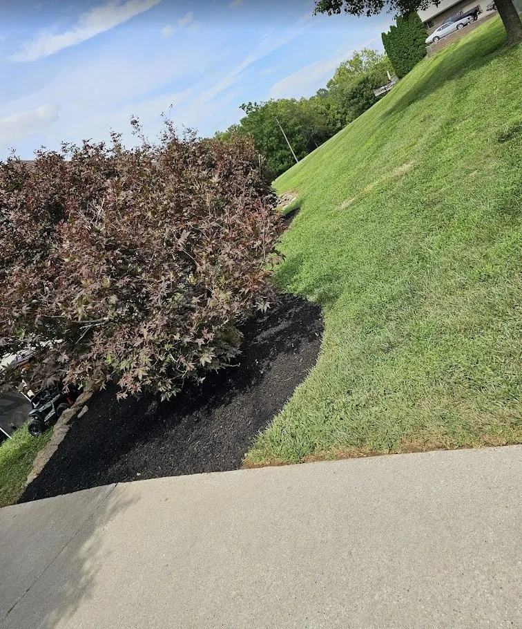 Affordable landscape installation experts serving Louisville, KY - Complete Landscape Lawncare