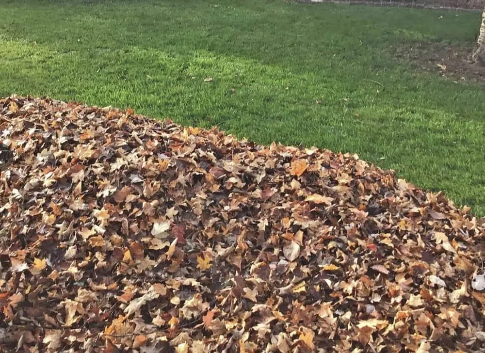 Local residential landscaping in Louisville, KY by Complete Landscape Lawncare