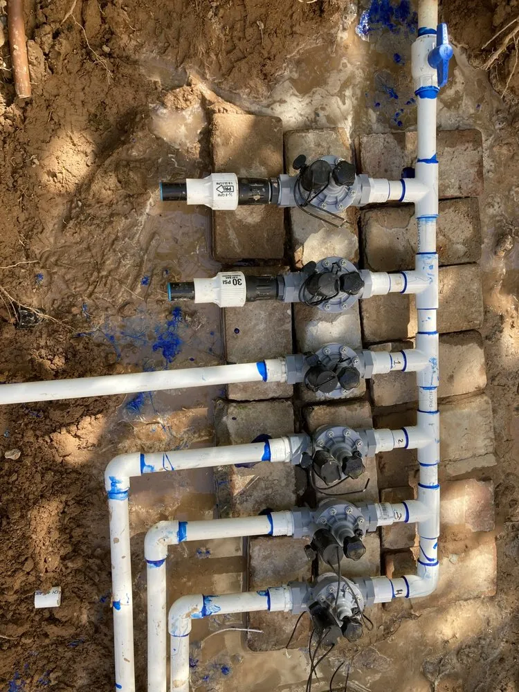 Expert lawn care service for homes across Phoenix, AZ - Complete Landscape Management