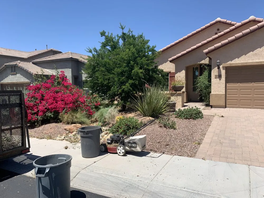 Professional landscape installation in Phoenix, AZ - Complete Landscape Management