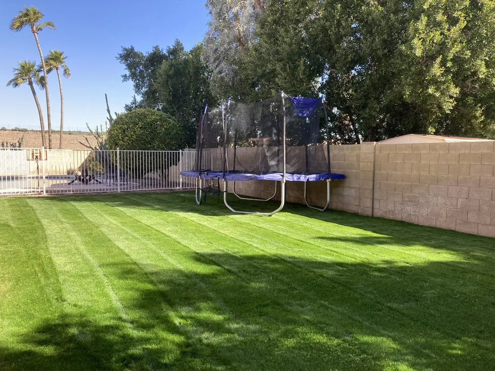Custom landscaping services near you in Phoenix, AZ by Complete Landscape Management