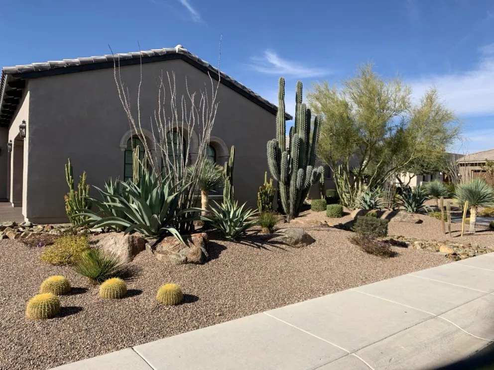 Expert residential landscaping in Phoenix, AZ - Complete Landscape Management