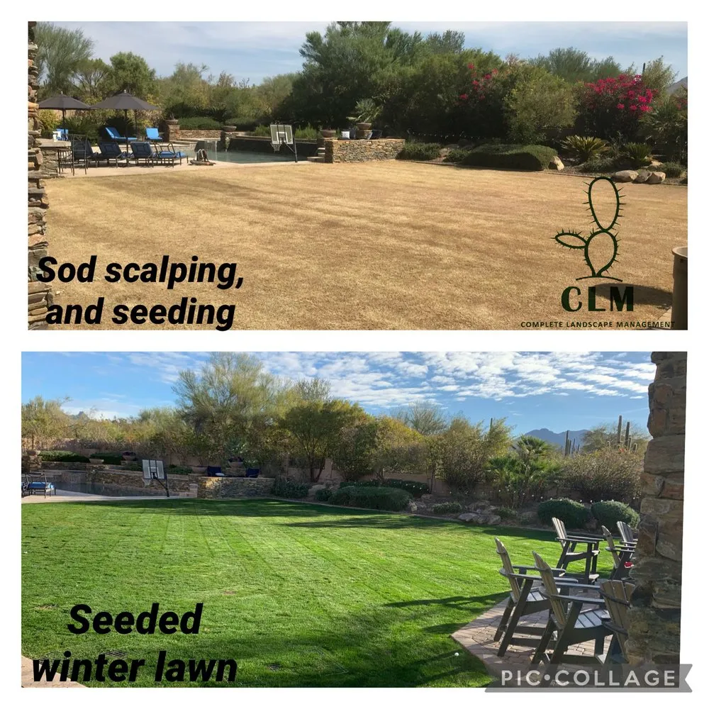 Affordable yard cleanup service in Phoenix, AZ by Complete Landscape Management