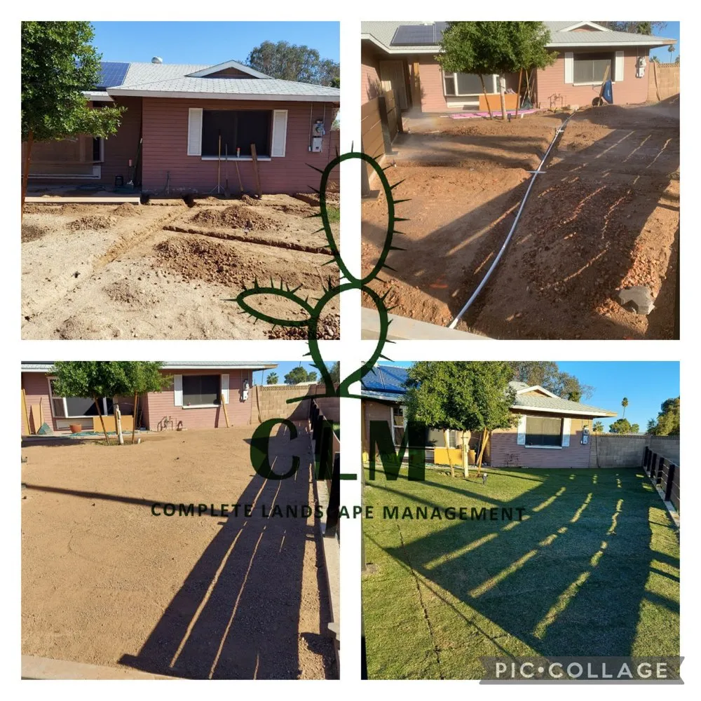 Local lawn care service for year-round maintenance in Phoenix, AZ by Complete Landscape Management