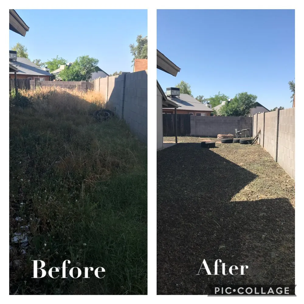 Local yard cleanup service in Phoenix, AZ - Complete Landscape Management