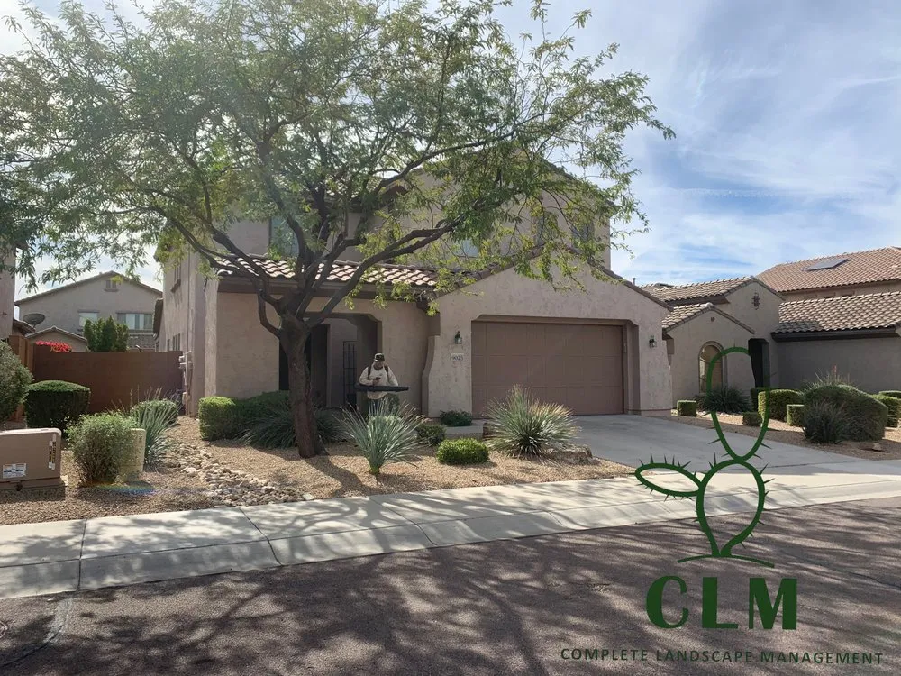 Custom yard cleanup service experts serving Phoenix, AZ - Complete Landscape Management