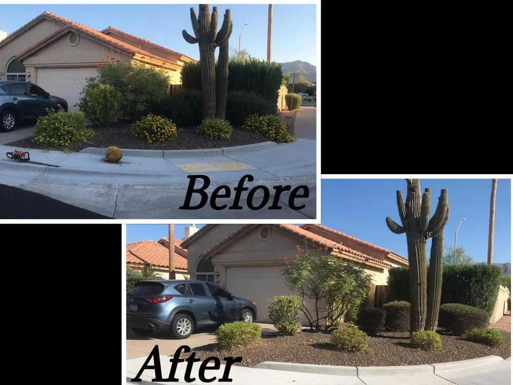 Custom outdoor landscaping in Phoenix, AZ by Complete Landscape Management
