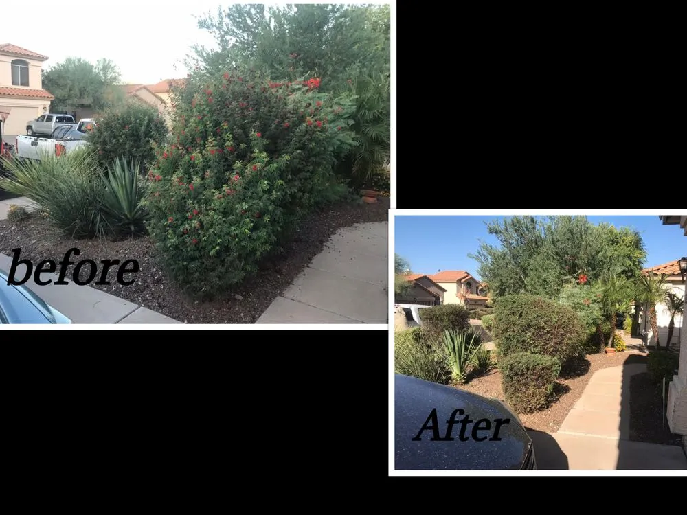 Professional landscape installation for year-round maintenance across Phoenix, AZ - Complete Landscape Management