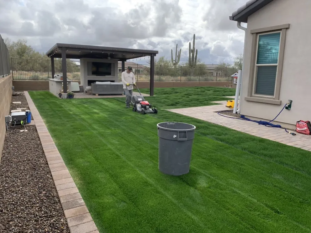 Affordable yard maintenance for year-round maintenance across Phoenix, AZ - Complete Landscape Management
