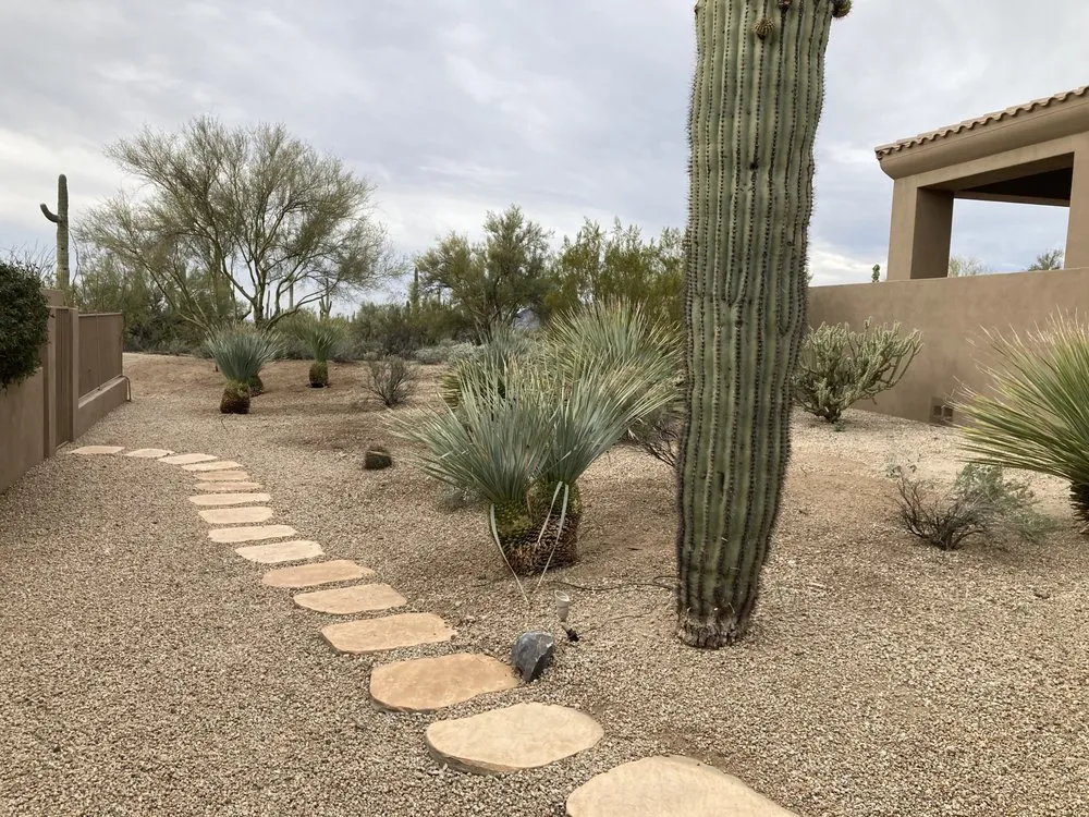 Top-rated landscape installation in Phoenix, AZ by Complete Landscape Management
